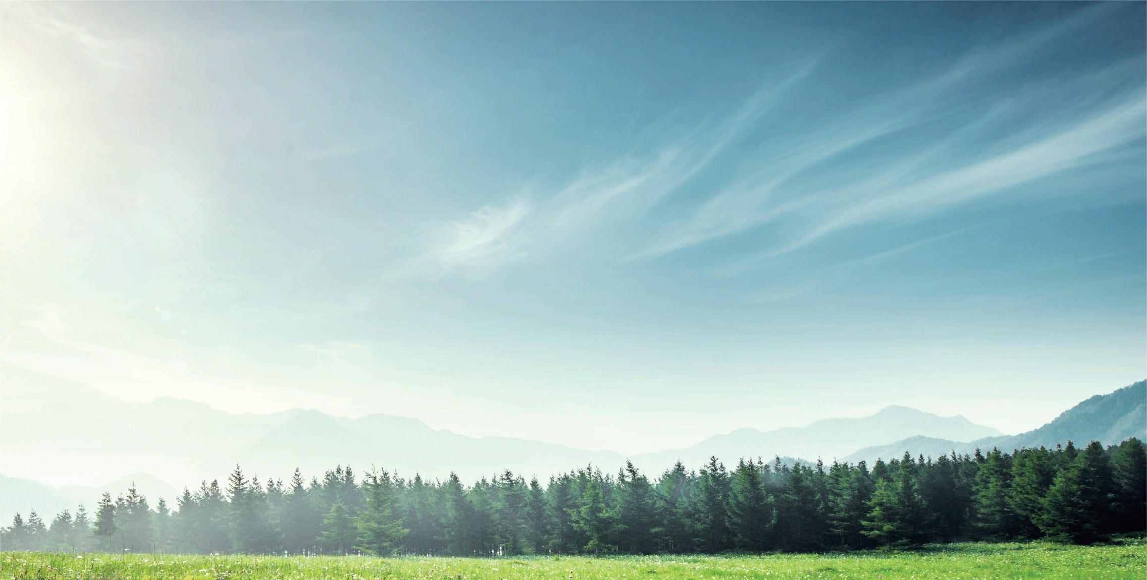 让室内空气变得更好